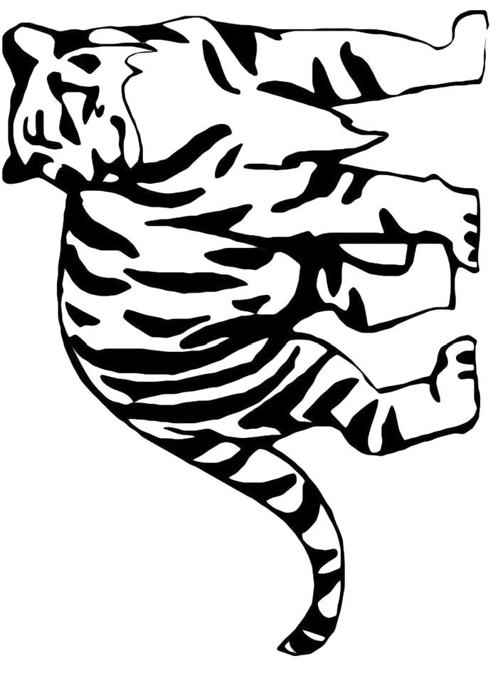 Раскраска Раскраска Тигр щурится. 