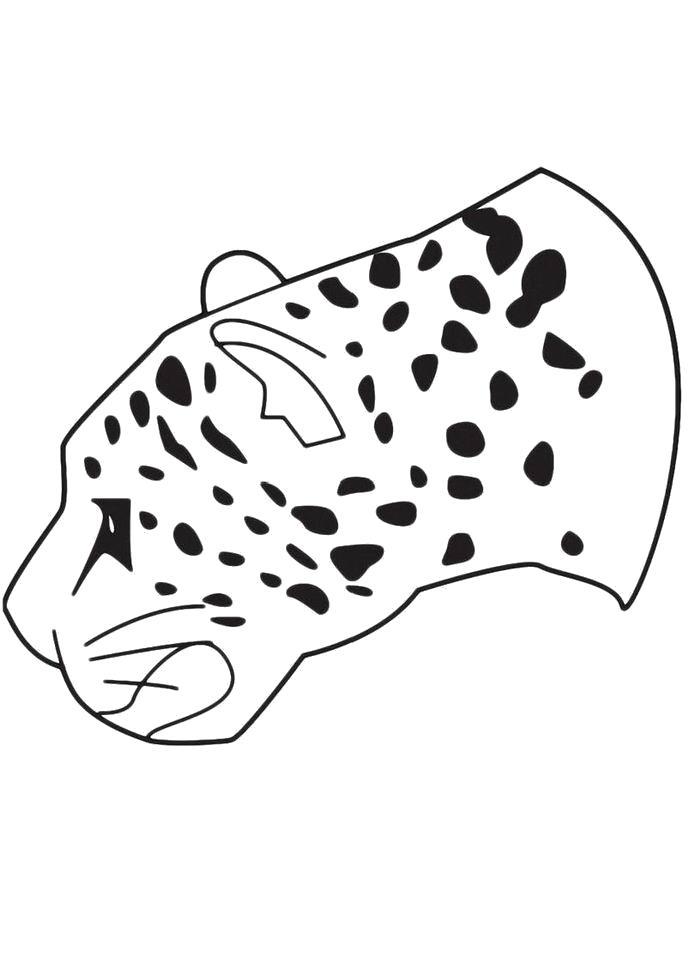Раскраска  Голова леопарда. Скачать леопард.  Распечатать леопард
