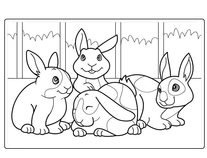 Название: Раскраска Заяц и кролики. Категория: Домашние животные. Теги: Кролик, Заяц.