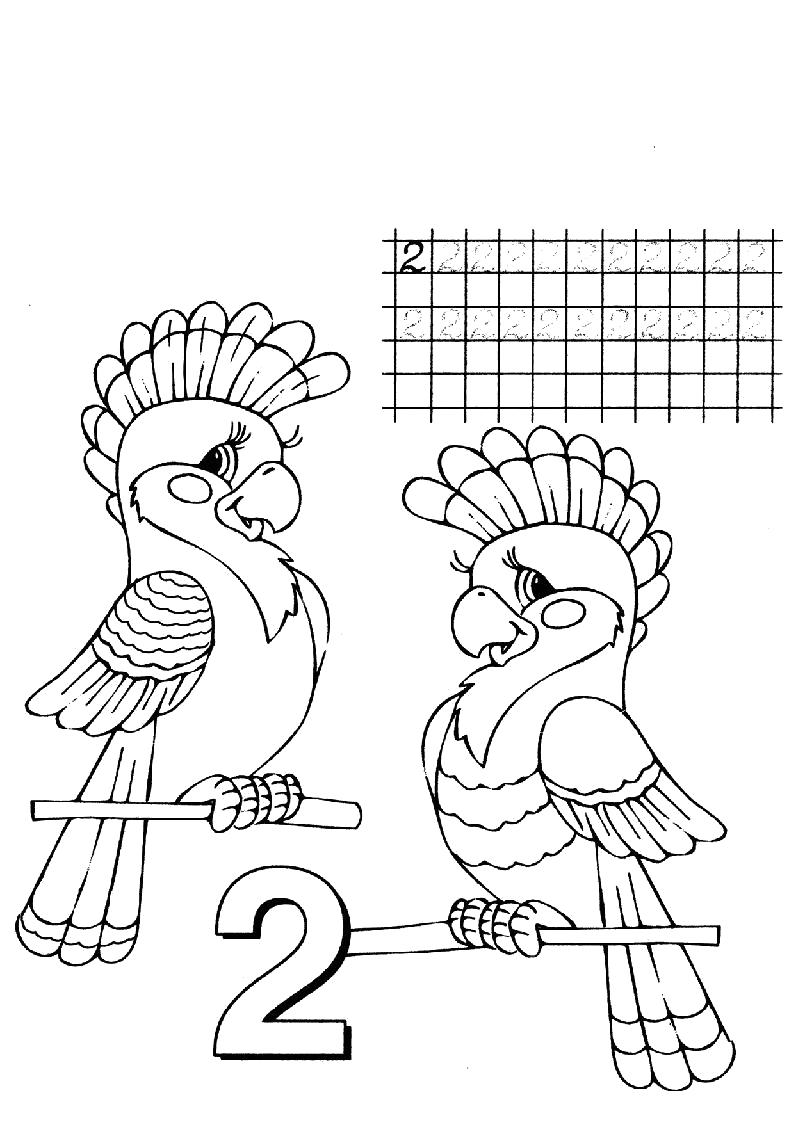 Раскраска  для детей  два попугая. Скачать с цифрами.  Распечатать с цифрами