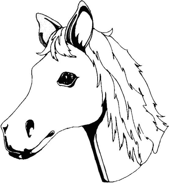 Раскраска Голова лошадки. 