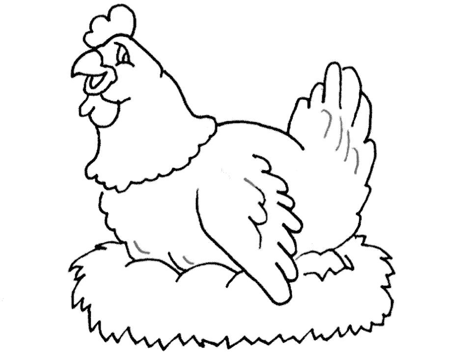 Раскраска  Курица-наседка в гнезде. Скачать Курица.  Распечатать Домашние животные