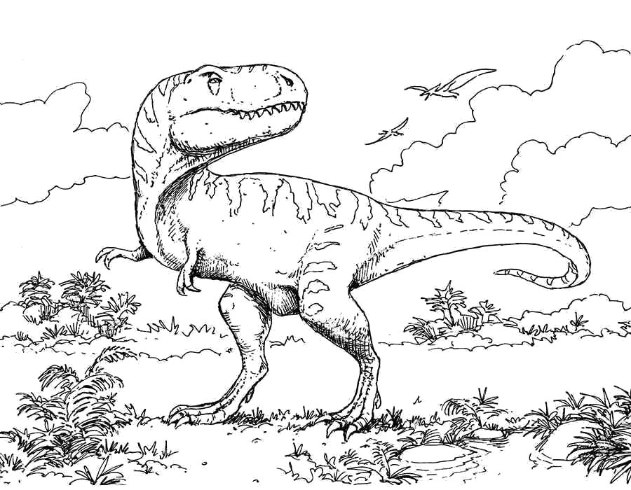 Раскраски для мальчиков Динозавры