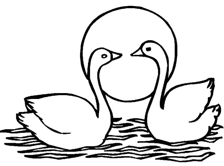 Лебедь раскраска (36 фото)