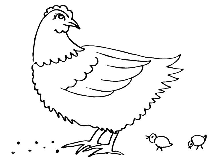 Раскраска Курица с цыплятами. Скачать Цыплята, Курица.  Распечатать Домашние животные