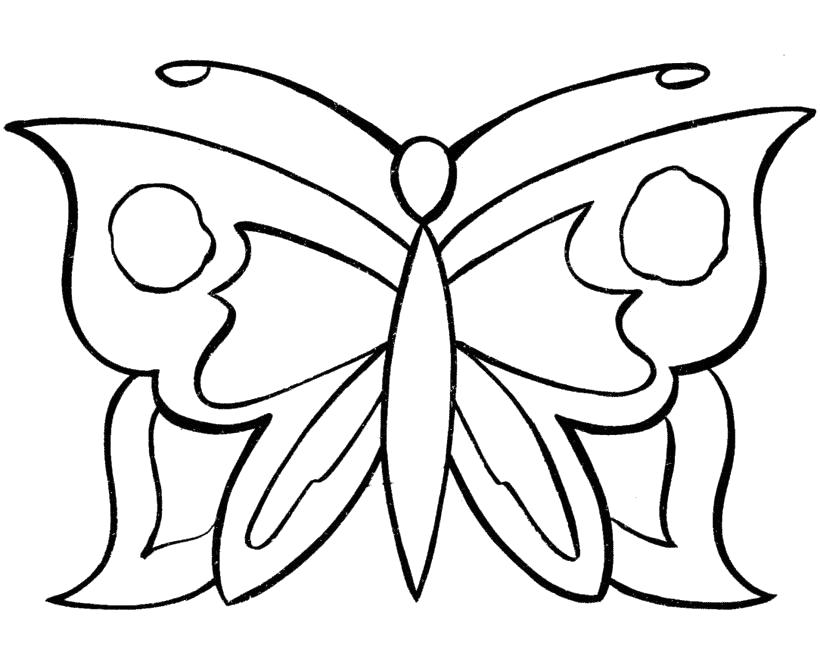 Раскраска Красивая бабочка с усиками. Скачать Бабочки.  Распечатать Бабочки