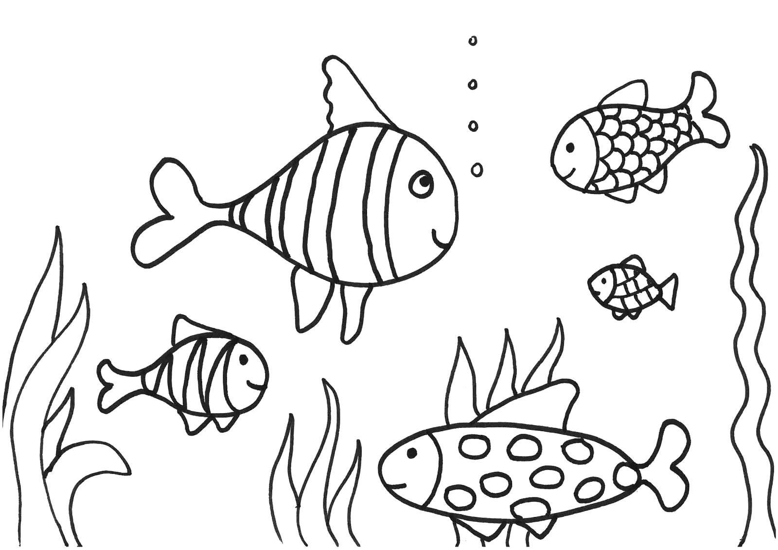 Раскраска Рыбки. Морские животные