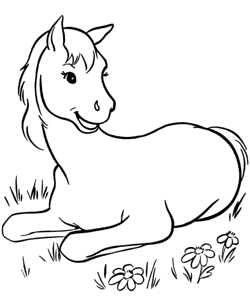 Название: Раскраска Раскраска лошадь. Категория: Домашние животные. Теги: Лошадь.