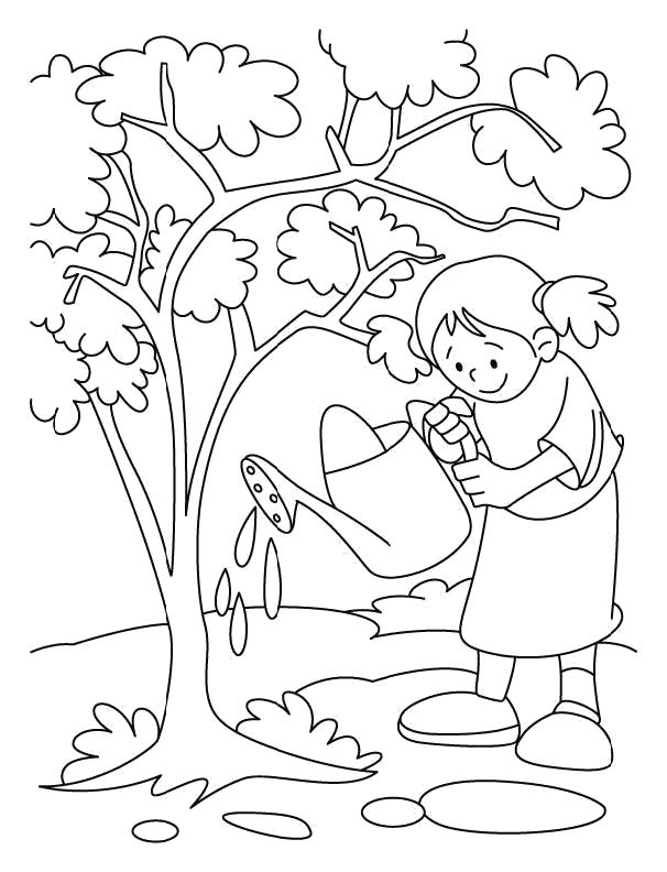 Раскраска Девочка поливает дерево из лейки. Скачать деревья.  Распечатать деревья