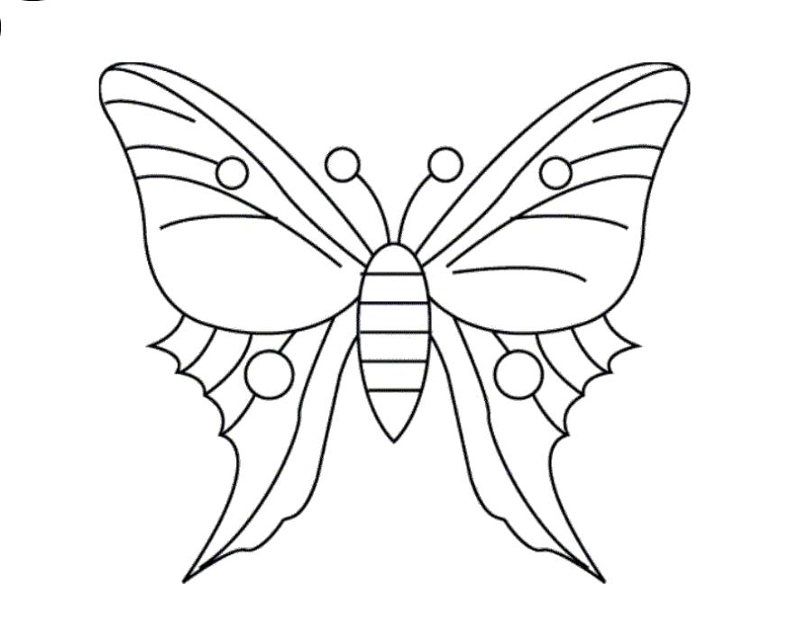 Раскраска Раскраска бабочка для детей. Бабочки