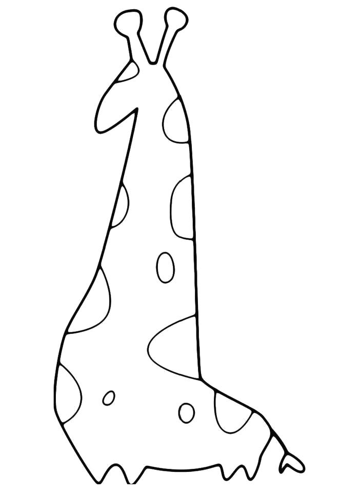 Раскраска Фигура. Скачать жираф.  Распечатать жираф