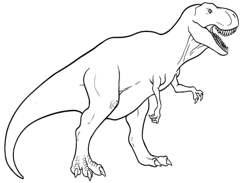 Раскраска Дино Рекс. динозавр