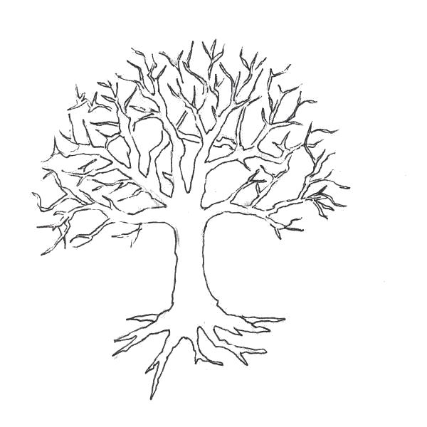 Название: Раскраска Раскраски "дерево без листьев" . Категория: растения. Теги: дерево.