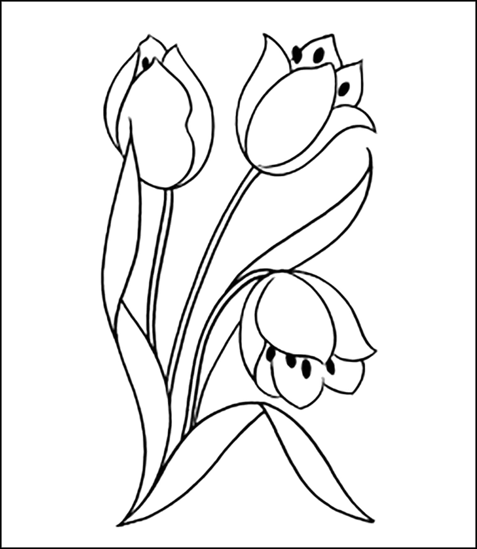 Название: Раскраска Раскраска тюльпаны. Категория: Тюльпан. Теги: Тюльпан.