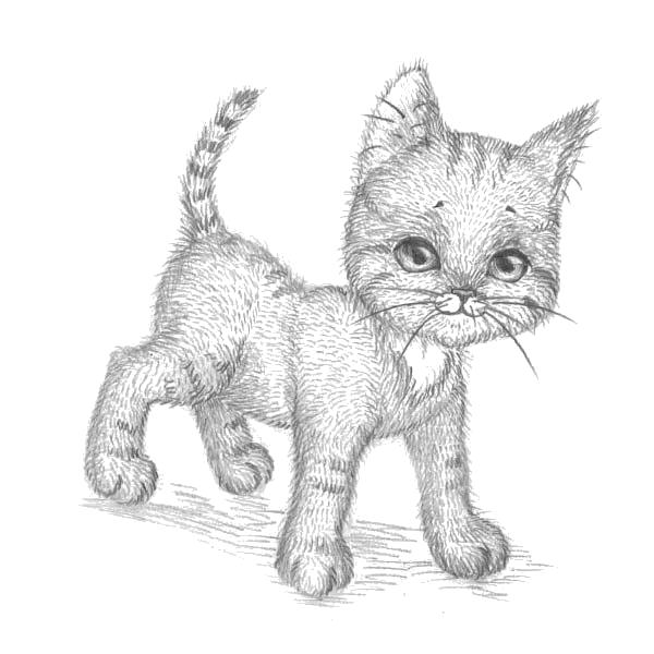 Название: Раскраска Это рисунок Леонардо. котенок. Категория: кот. Теги: кот.