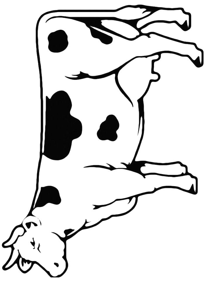 Название: Раскраска Раскраска Корова. Категория: Корова. Теги: Корова.