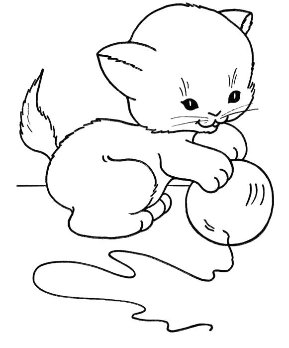 Раскраска  котенок с клубком. Скачать Котенок.  Распечатать Домашние животные