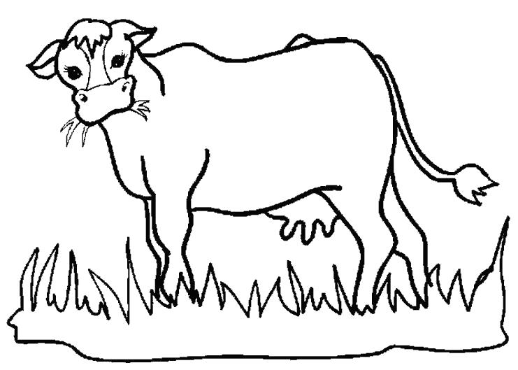 Название: Раскраска Коровка жуёт траву. Категория: Домашние животные. Теги: Корова.
