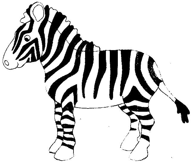 Раскраска Раскраски "зебра" скачать и распечатать бесплатно. Дикие животные