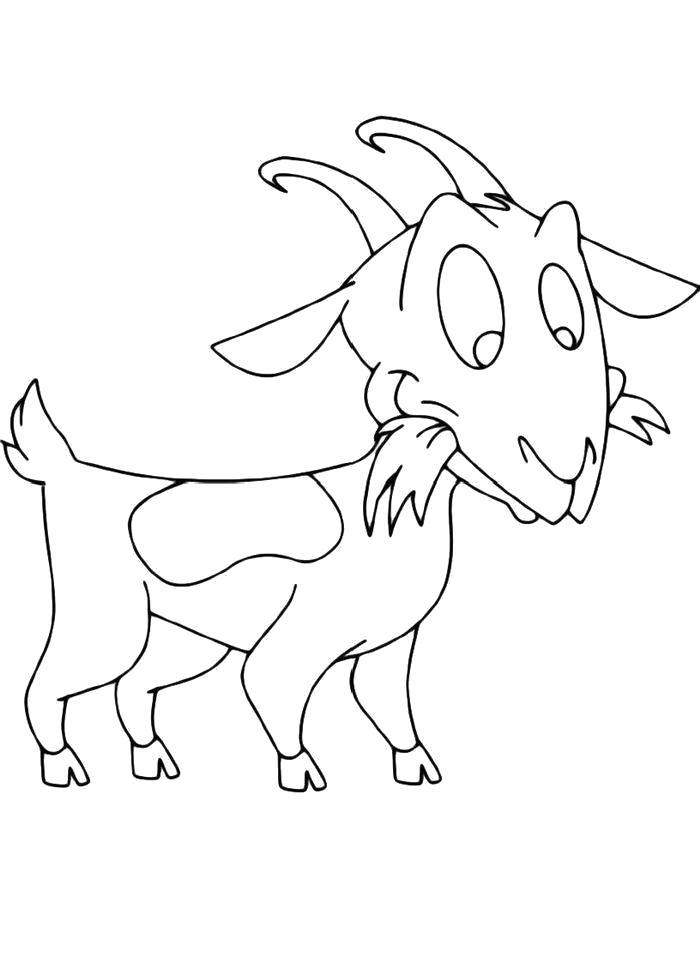 Название: Раскраска  Коза жует траву. Категория: Домашние животные. Теги: Коза.