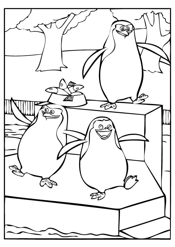 Раскраска Раскраска Улыбаемся и машем, пингвины с Мадагаскара, . 