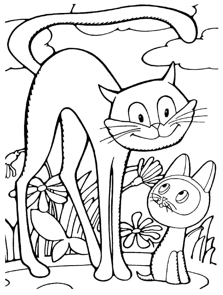 Раскраска Кот и гав. Скачать кошка, Котенок.  Распечатать Домашние животные