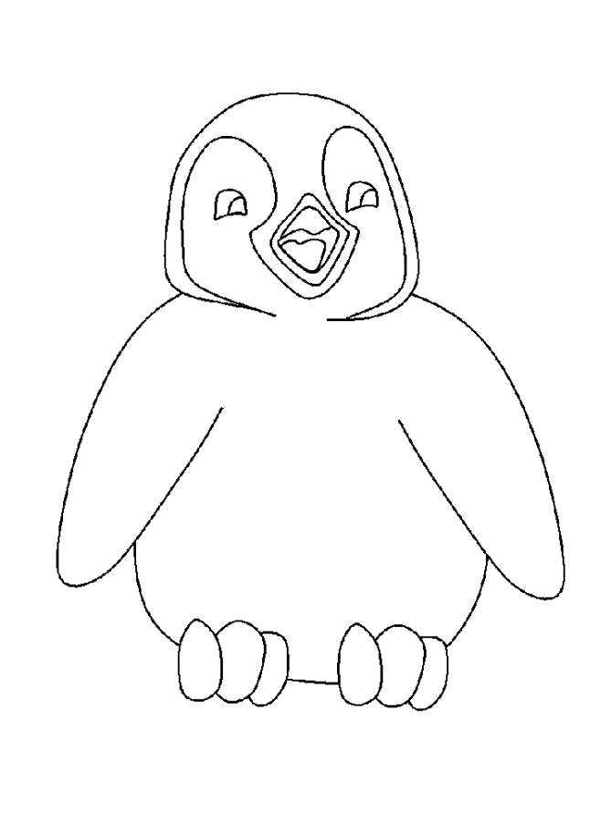 Раскраска Раскраска Пингвиненок. Пингвин