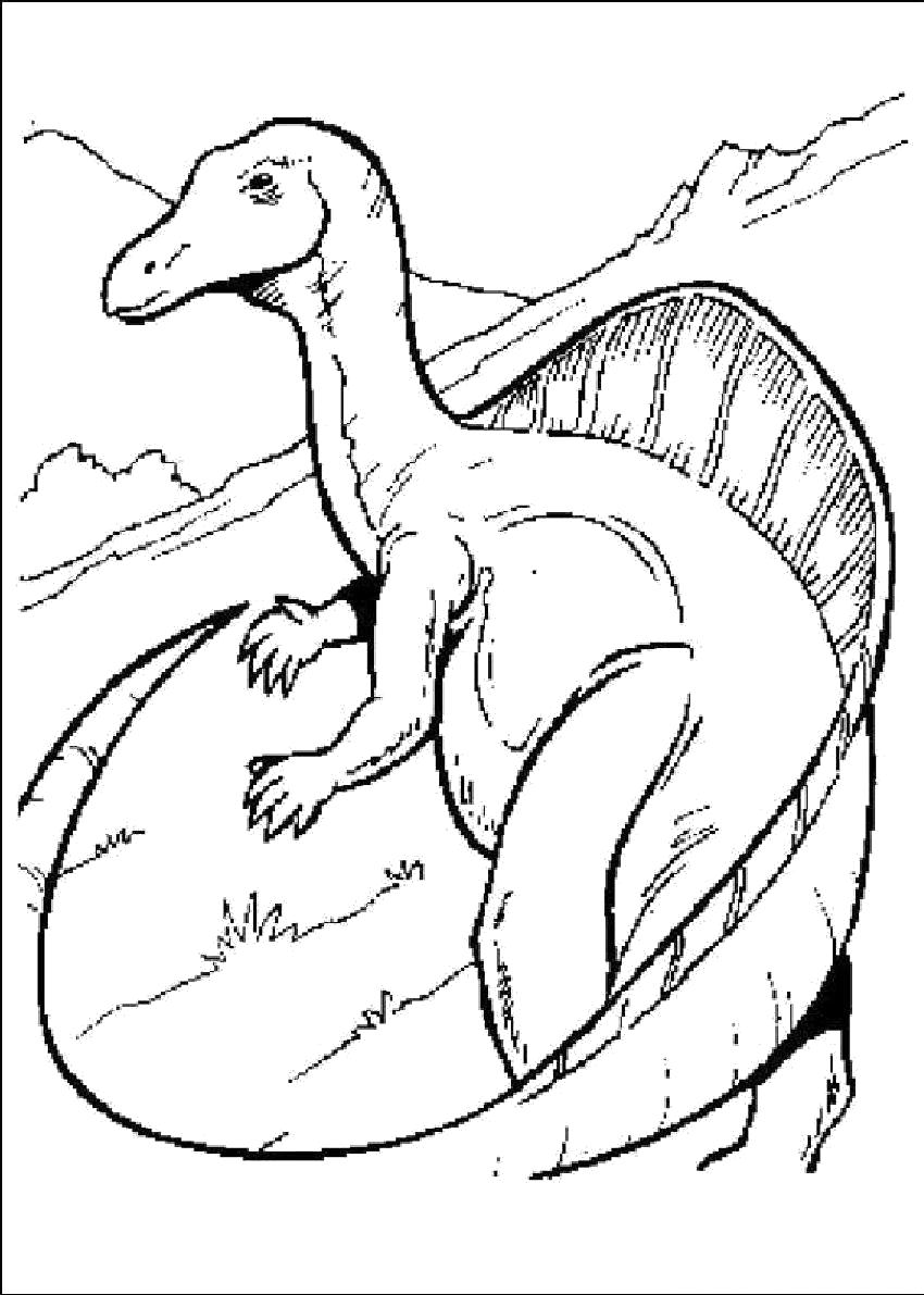 Раскраска Динозавр. Скачать .  Распечатать 