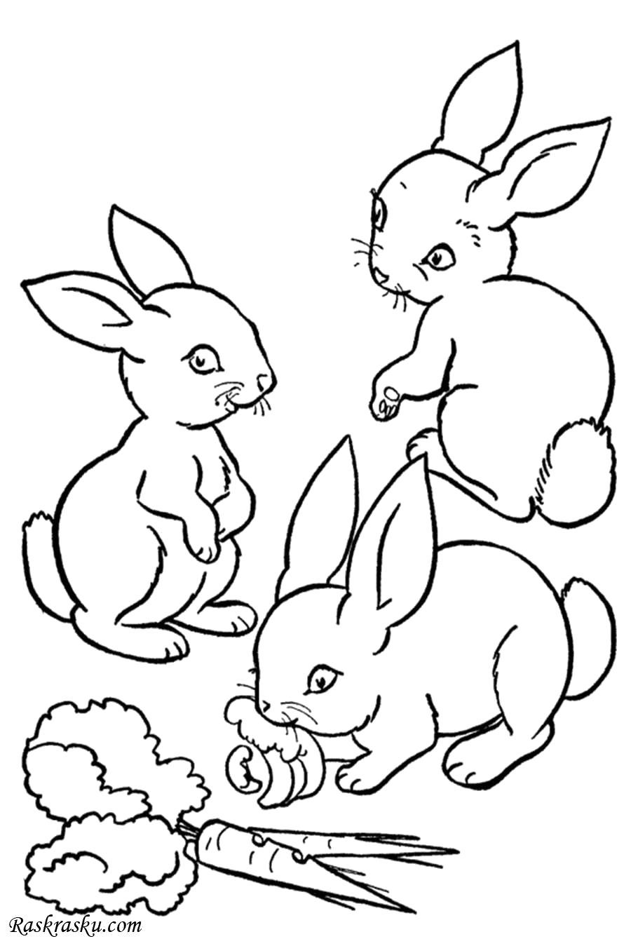 Название: Раскраска Зайчата с морковкой. Категория: Домашние животные. Теги: Заяц.