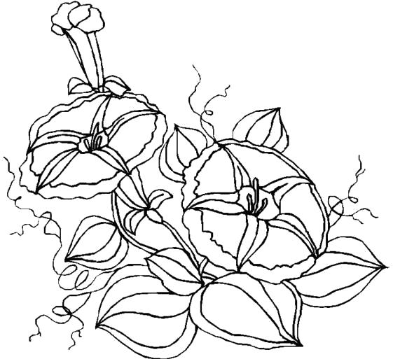 Название: Раскраска контурный рисунок цветка. Категория: Контур. Теги: Контур.