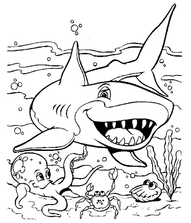 Раскраска Раскраска-акула. 