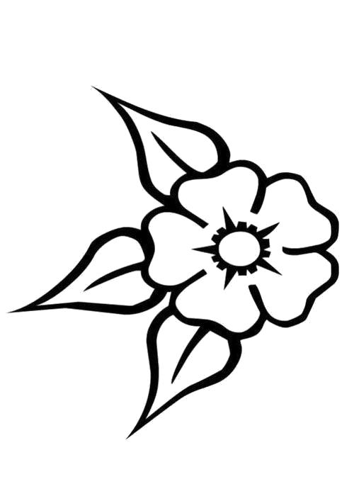 Раскраска Раскраска Цветок с тремя листиками. лист