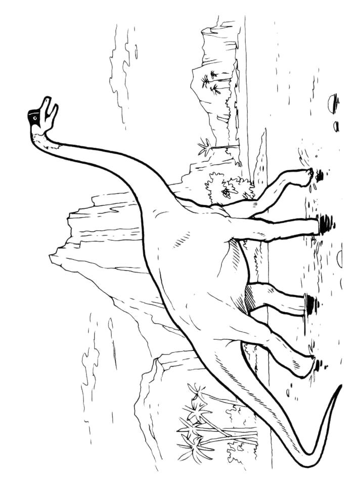 Раскраска  Травоядный. Скачать динозавр.  Распечатать динозавр