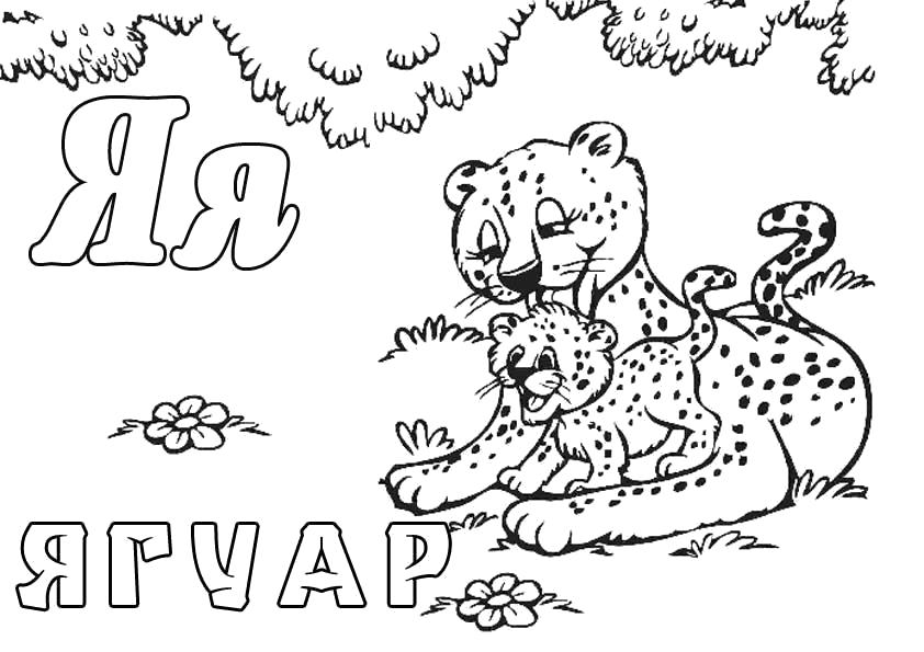 Раскраска Раскраски "Зоопарк", Буква Я, Ягуар. буквы