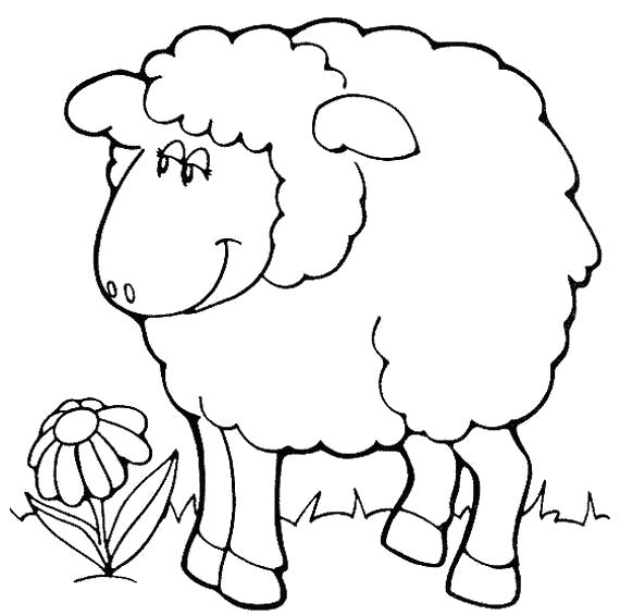 Название: Раскраска На лугу. Категория: Овца. Теги: Овца.