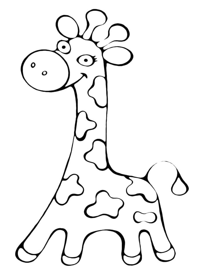 Название: Раскраска  Пятнистый жираф. Категория: жираф. Теги: жираф.