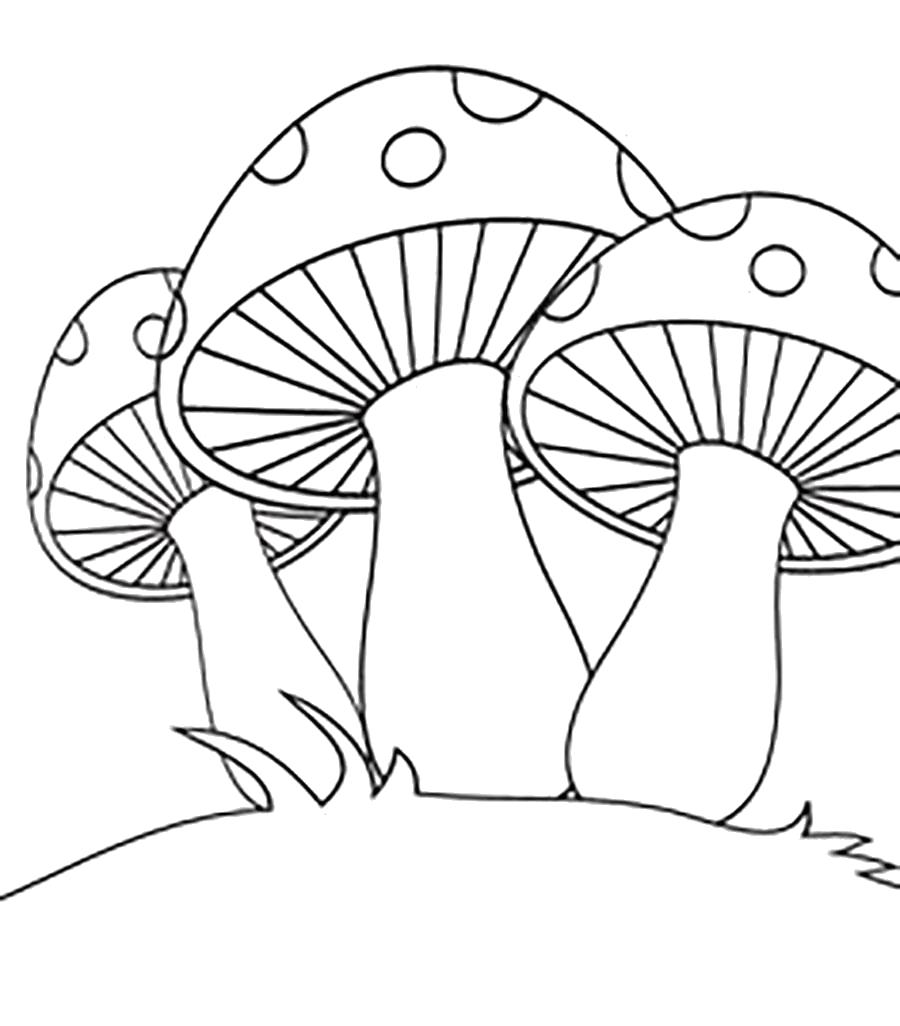 Раскраска  шаблон гриба три гриба шаблон для вырезания из бумаги. Скачать гриб.  Распечатать растения
