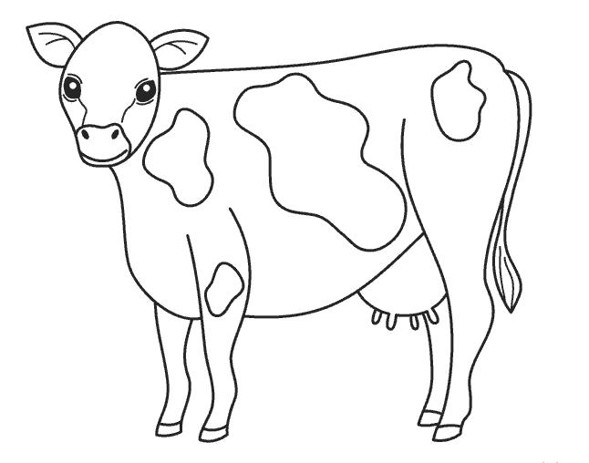 Название: Раскраска Коровка в пятнышках. Категория: Домашние животные. Теги: Корова.