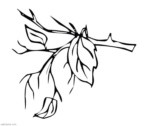 Название: Раскраска Разукрашка осень. Опадают листья. Категория: растения. Теги: листья.
