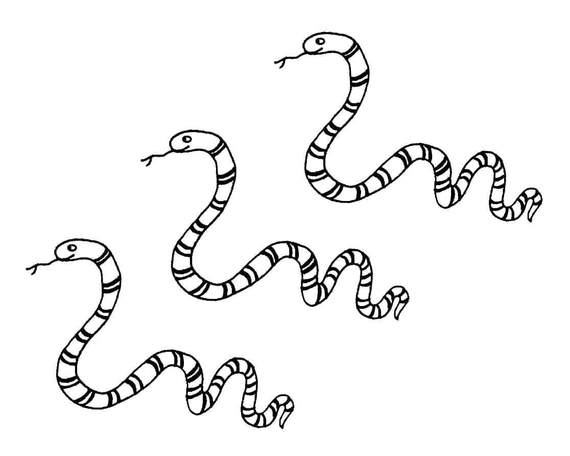 Раскраска Три змеи. Дикие животные