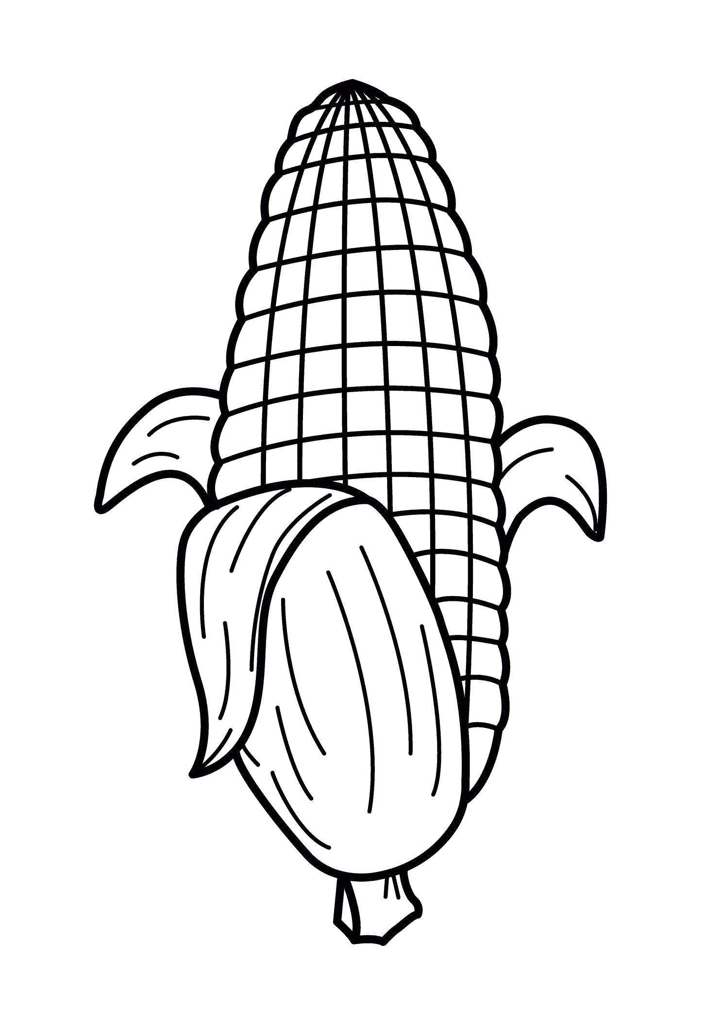 Название: Раскраска Кукуруза. Категория: овощи. Теги: кукуруза.