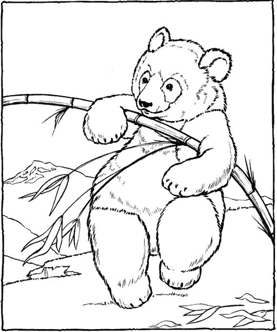 Название: Раскраска медвежонок  играется. Категория: Дикие животные. Теги: медведь.