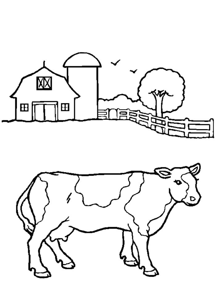 Раскраска Корова картинка раскраска. Домашние животные