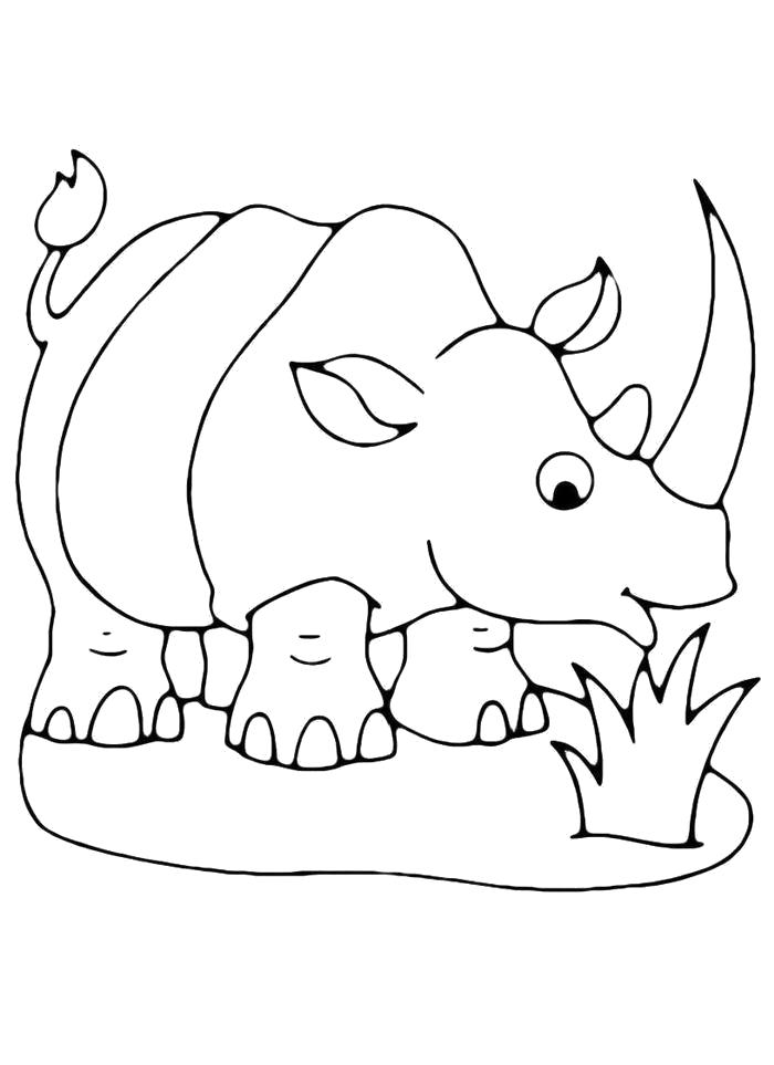 Раскраска  Носорог ест траву. Скачать Носорог.  Распечатать Носорог