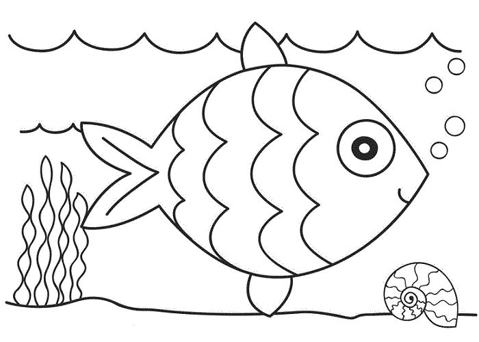 Раскраска Раскраска рыба. Рыба в аквариуме и улитка. Водоросли. Рыбы