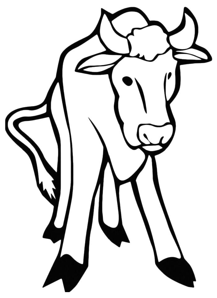 Раскраска  Стоящая корова. Домашние животные