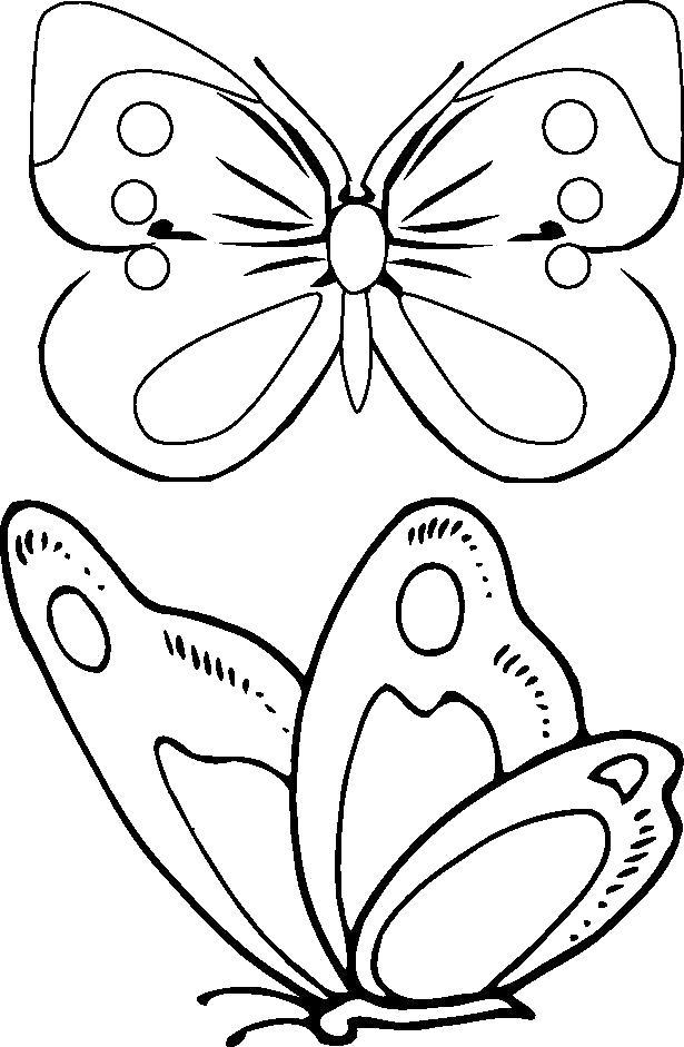 Раскраска Бабочка летит к цветку. 