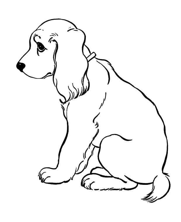 Название: Раскраска Грустный пёс. Категория: Домашние животные. Теги: Собака.