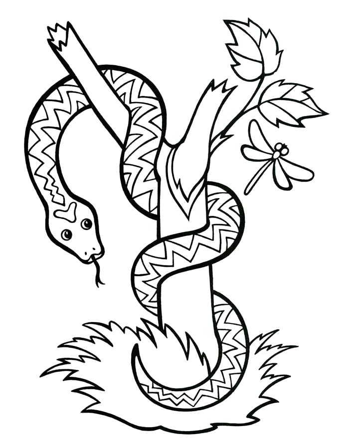 Раскраска Древесная змея. змеи