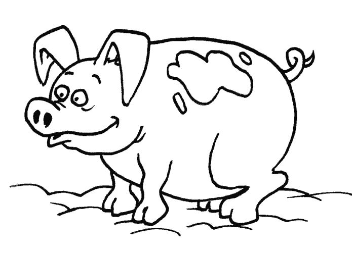 Название: Раскраска свинка. Категория: Домашние животные. Теги: Свинья.